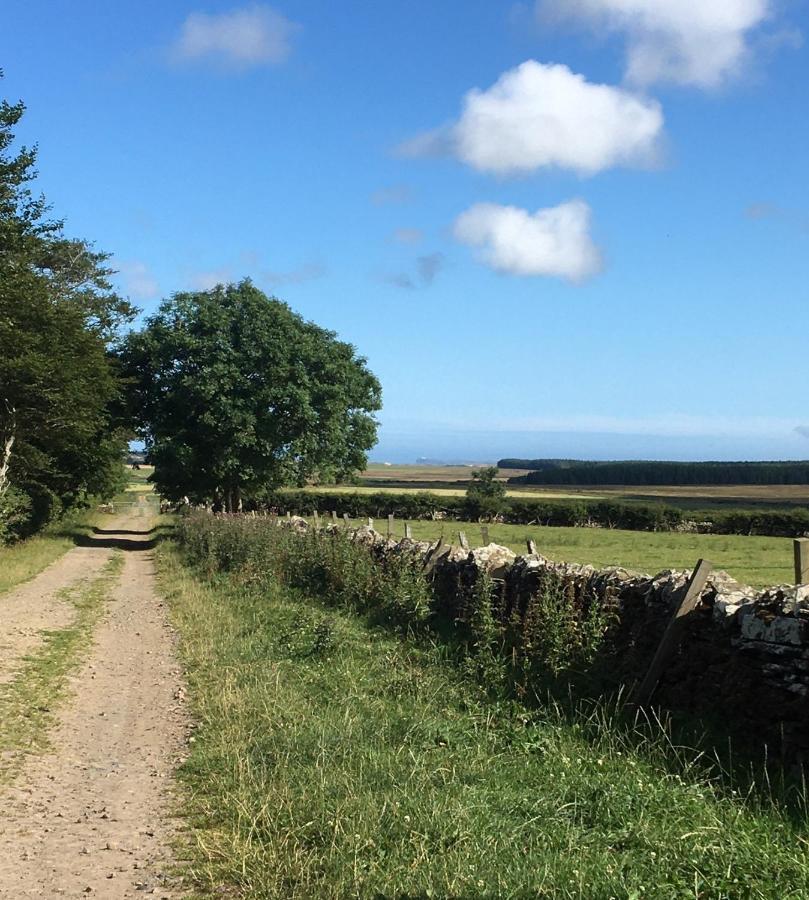 Caithness View Luxury Farm Lodges And Bbq Huts Wick  Eksteriør bilde