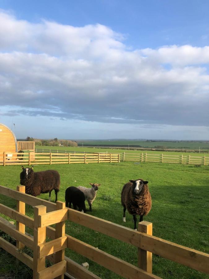 Caithness View Luxury Farm Lodges And Bbq Huts Wick  Eksteriør bilde