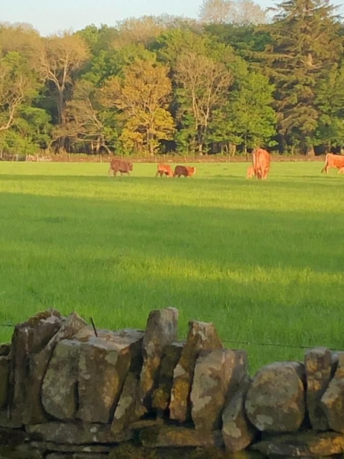 Caithness View Luxury Farm Lodges And Bbq Huts Wick  Eksteriør bilde