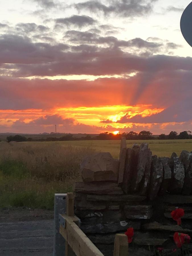 Caithness View Luxury Farm Lodges And Bbq Huts Wick  Eksteriør bilde